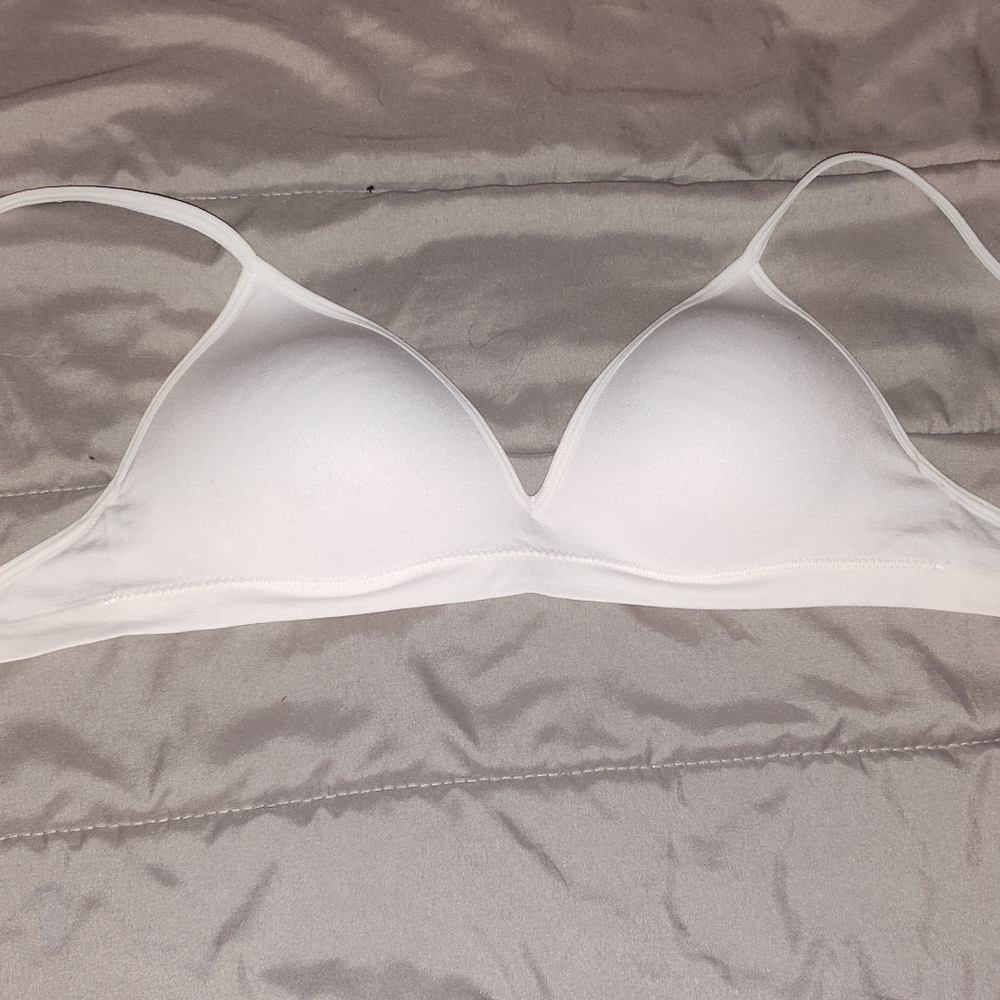 Fruit of the loom size 36